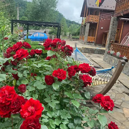 світанкове сяйво Lodge *