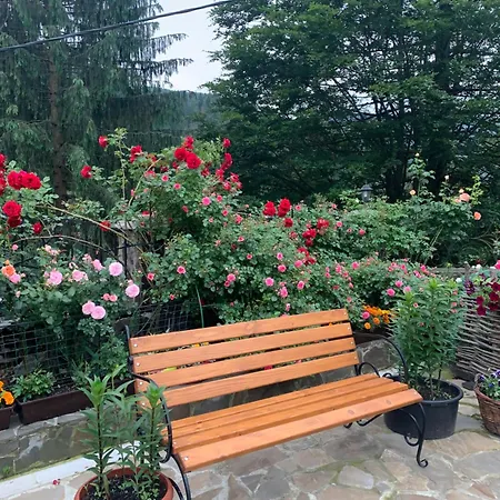 світанкове сяйво Yaremche