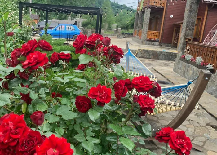 світанкове сяйво Lodge *